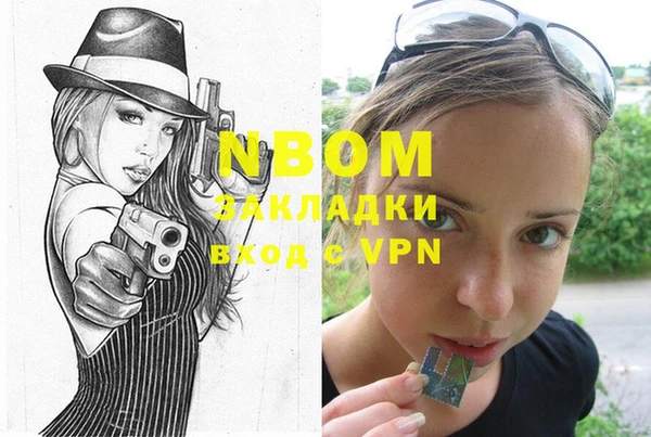 твердый Протвино
