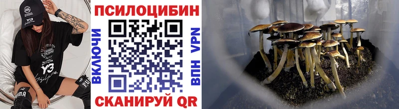 Псилоцибиновые грибы MAGIC MUSHROOMS Белоозёрский