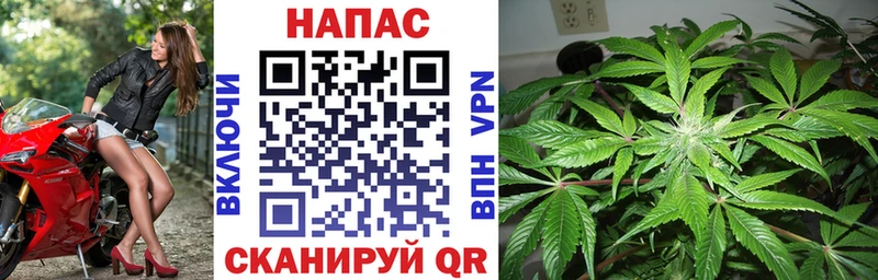 продажа наркотиков  Белоозёрский  Конопля MAZAR 